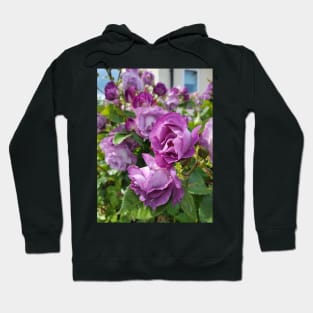 gift, for birthday happy birthday beautiful, flower Hoodie